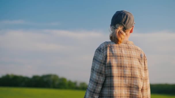 Вид сзади: Женщина-фермер гуляет среди пшеничных полей в ясный летний день — стоковое видео