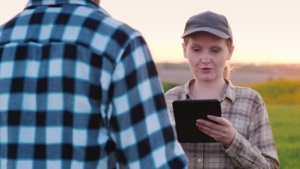 Man en vrouw boeren werken in een veld bij zonsondergang, gebruik een tablet — Stockvideo