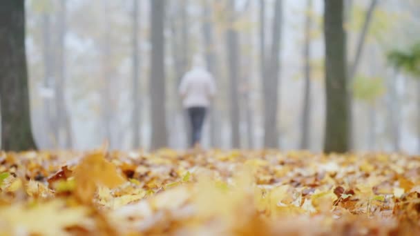 La silueta borrosa de una mujer se adentra en la distancia a lo largo de las hojas caídas en el parque — Vídeo de stock