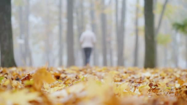 Suddig siluett av en kvinna går i fjärran längs de fallna bladen i parken — Stockvideo