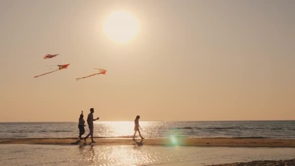 Grootmoeder en kleinkinderen spelen op de strandvliegers. Begrip actieve ouderen — Stockvideo