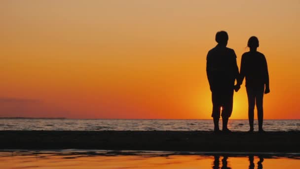 Mormor håller i sin sonsons hand, titta på horisonten tillsammans. Stående på stranden vid solnedgången — Stockvideo