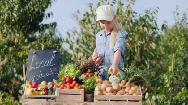 A farmer lány zöldségeket árul egy mezőgazdasági vásáron, zöldségeket tesz a pultra. — Stock videók