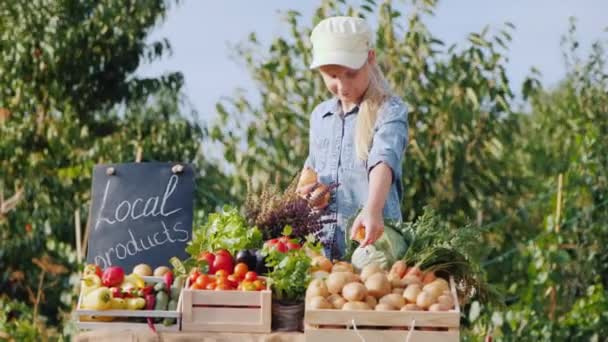 Çiftçi kız bir tarım fuarında sebze satıyor, tezgahın üstüne sebze koyuyor. — Stok video