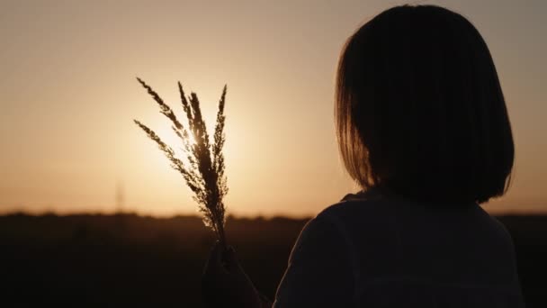 Achteraanzicht: van een vrouw met een veldgras staat bij zonsondergang op een pittoreske plek — Stockvideo