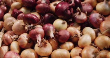 Son zamanlarda soğan soğanları yataklardan çıkarıldı. Yukarıdan bak. Kaydırıcı atışı