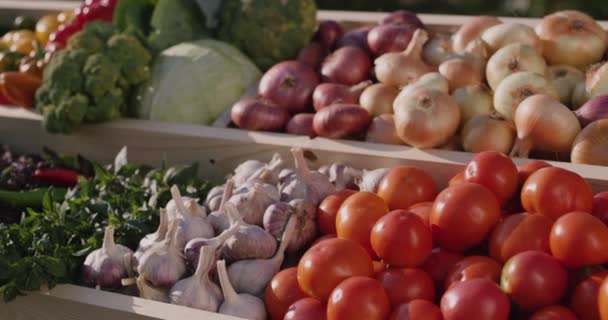 Лічильник сезонних овочів на ринку фермерів — стокове відео
