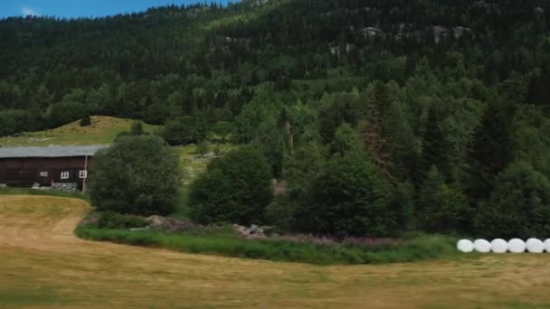 Blick aus dem Autofenster auf Norwegens ländliche Weidelandschaft — Stockvideo