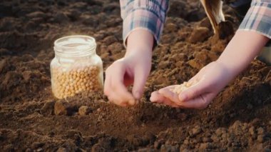 Kadının bahçesine tohum ektiği yakın plan görüntüsü, yakın plan.