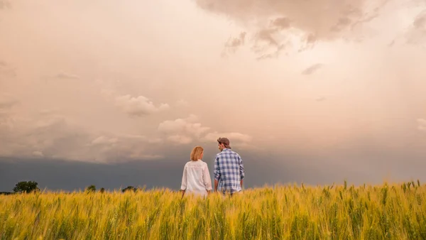 Paar in een veld van tarwe te midden van dramatische stormachtige lucht — Stockfoto