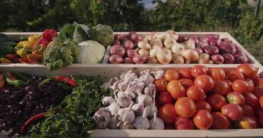 Çiftçi pazarında sebze tezgahı. Kaydırıcı atışı