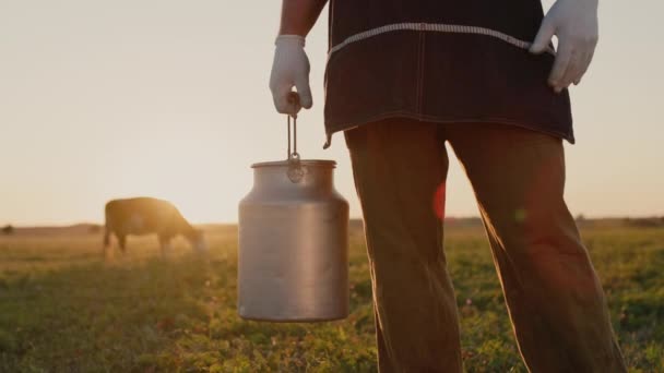 Een boer met een melkkan staat in een weiland waar een koe weidt. Bij zonsondergang — Stockvideo