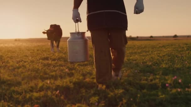 Een boer met een blik melk loopt door een weiland, koeien grazen op de achtergrond — Stockvideo