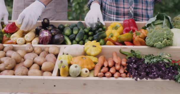Çiftçilerin elleri, alıcıların gelmesi için tezgahı mevsimlik sebzelerle pişirin. — Stok video