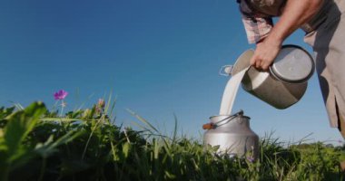 Çiftçi yeşil bir çayırın arka planına süt döker. Düşük açılı çekim