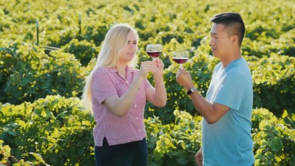 Asijský muž a běloška ochutnávají víno u vinice v malém vinařství. Soukromé degustace a cestovní ruch v místech výroby vína. Wine Tour — Stock video