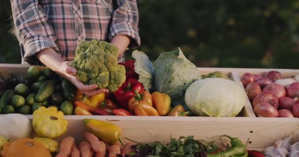 농산물 직판장에서 계절에 따라 농산물을 재배하는 농장 주인이 브로콜리를 카운터 위에 갖다 놓는다 — 비디오