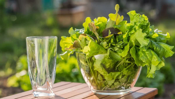 Talíř se salátovými listy a prázdnou sklenicí. Složení pro vitaminové nápoje — Stock fotografie