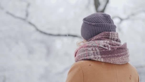 Een vrouw bewondert het besneeuwde bos. Uitzicht van achteren — Stockvideo