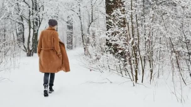 Mulher ativa no casaco clássico caminha pelo parque nevado — Vídeo de Stock