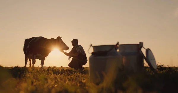 De eigenaar is bij zijn koe bij zonsondergang. Op de voorgrond staan melkblikjes — Stockfoto