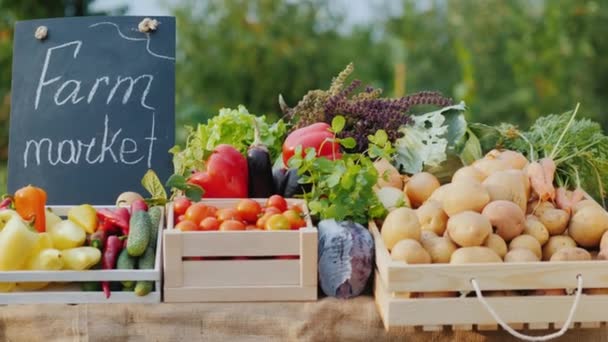 Um balcão com legumes frescos em um mercado de agricultores. Produtos hortícolas de produtores locais — Vídeo de Stock