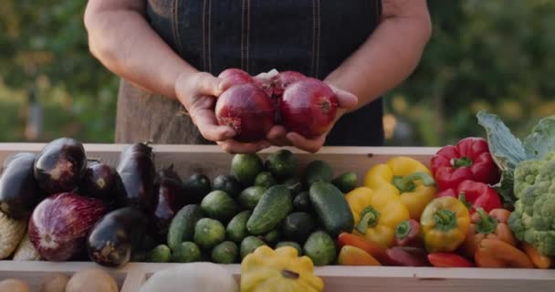 農家の手は野菜カウンターの上にタマネギの球根を保持します。ファーマーズマーケット — ストック動画