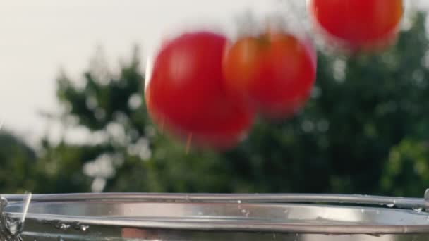 I pomodori maturi cadono in un secchio d'acqua, gli schizzi volano alti ai lati. Video al rallentatore — Video Stock
