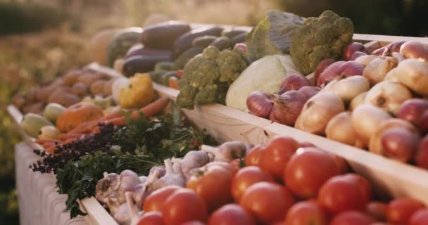 Slider shot: Vegetable counter di pasar petani. Slider shot — Stok Video