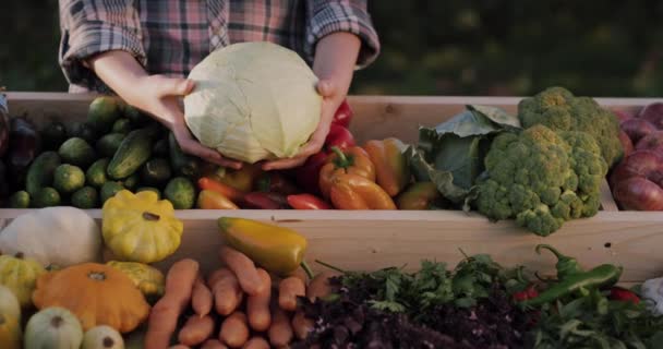 En kvinnelig bonde holder et kålhode over disken med grønnsaker på et gårdbrukermarked hos lokale produsenter. – stockvideo