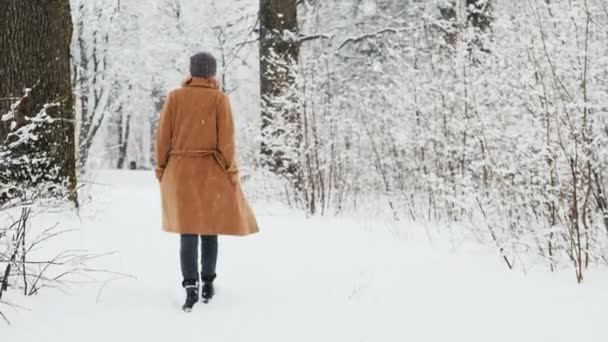 Vue de dos de la femme d'âge moyen élégant marche dans le parc à neige — Video
