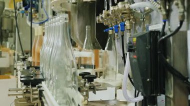 Şarap şişeleri tıpa tıpası ile kapalı. Taşıyıcı bant boyunca hareket ediyor..