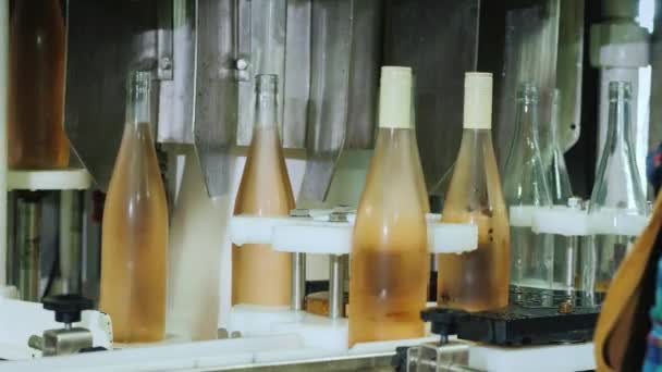 Manos de un trabajador, trabajando en un transportador para bloquear botellas de vino — Vídeo de stock
