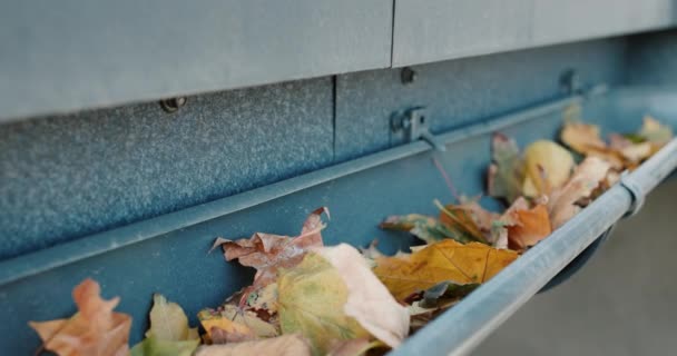 Foglie gialle cadute si trovano nella grondaia vicino al tetto della casa — Video Stock