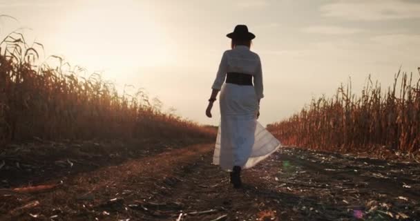 En kvinnlig bonde i klänning och hatt går längs fälten med mogen majs. Bakifrån — Stockvideo