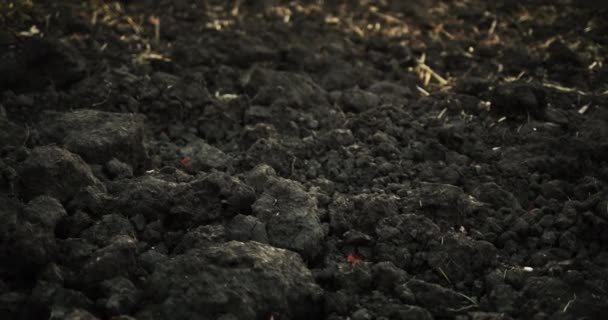 파낸 흙은 겨울에 요리되었다. 농토 의작 업 — 비디오