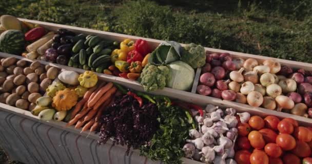 Konter sayuran di pasar petani. Lihat dari atas — Stok Video