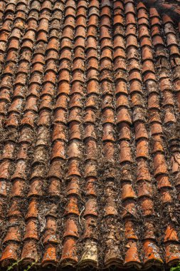 Kuru bitki örtüsü ve çürüme belirtileriyle kaplı kil kiremitli terracotta çatısı, kırsal mimari ve geleneksel Akdeniz tarzını gösteriyor. Yüksek kalite fotoğraf