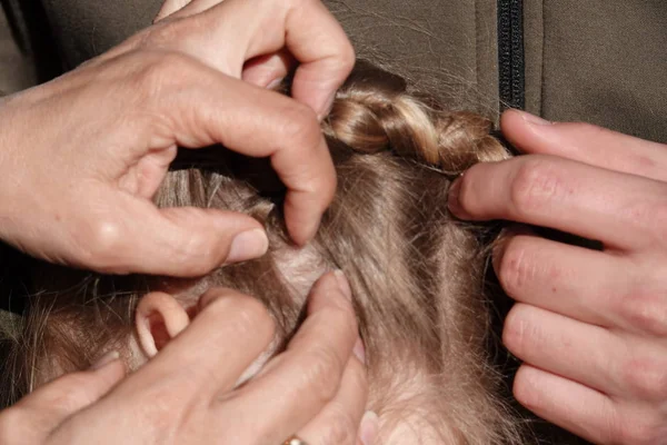 Vérification des cheveux d'une jeune fille pour les poux de tête — Photo