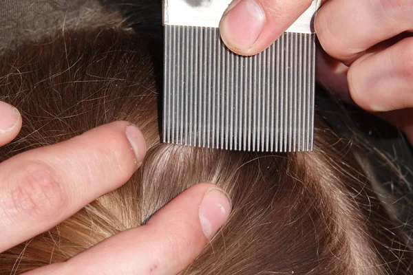 Checking a young girls hair for head lice — Stock Photo, Image