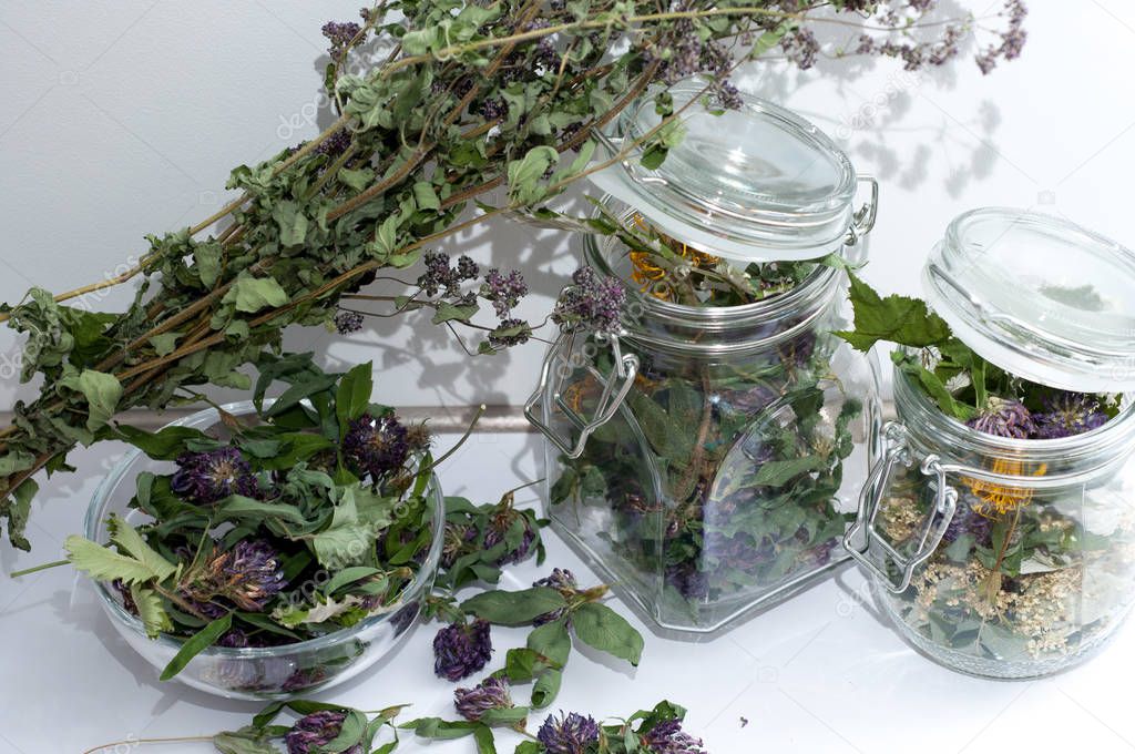 collection of dried herbs close-up