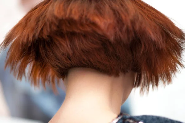 Akurat Bentuk Geometris Potongan Rambut Pendek Pada Seorang Wanita Dengan — Stok Foto