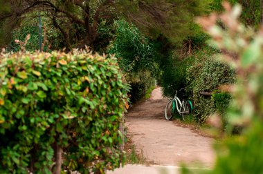 Patika bir bisiklet ile bir parkta