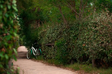Patika bir bisiklet ile bir parkta