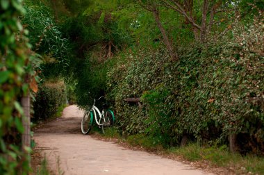 Patika bir bisiklet ile bir parkta