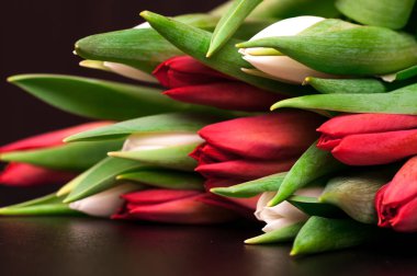 Laleler koyu arka plan üzerinde bir buket 