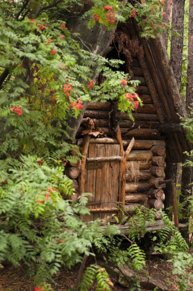 Fairytale house of Baba Yaga in the park — Stock Photo, Image