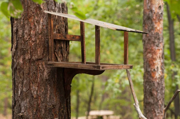 Wild bird feeder in the summer — Stock Photo, Image