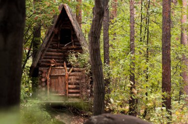 Parkta Baba Yaga'nın masalsı evi