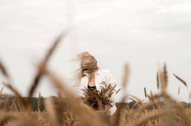Bir buğday tarlasında mısır kulakları ile sarışın kadın